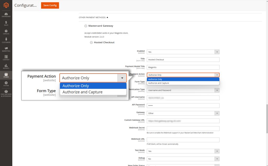 Payment_Action__Authorize-Only